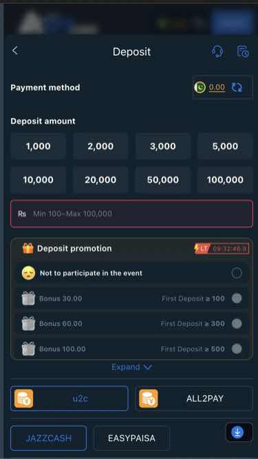 A177 Mobile Deposit Interface